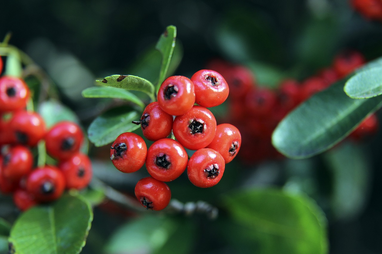 僵局的关键 僵局的关键