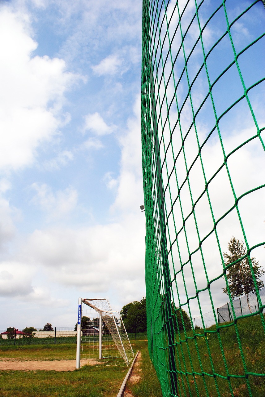 天启接受采 天启接受采