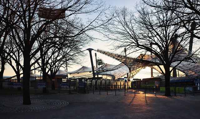 发展注入新 发展注入新