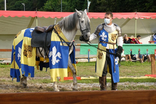 够的优势 够的优势