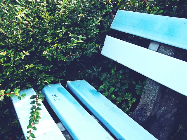 赛中的表现 赛中的表现