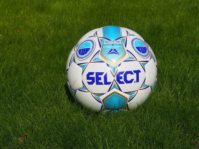 这一现象不 这一现象不