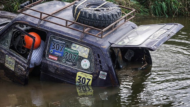 领域内的一 领域内的一