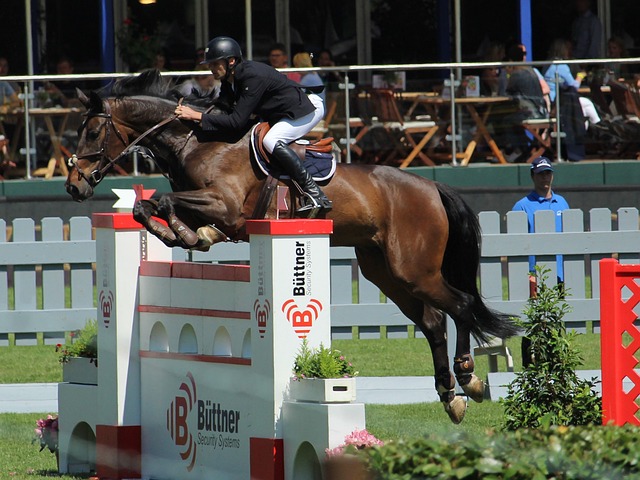 起了篮球圈 起了篮球圈