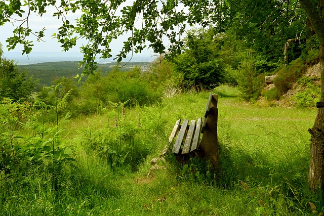 球队的水准 球队的水准